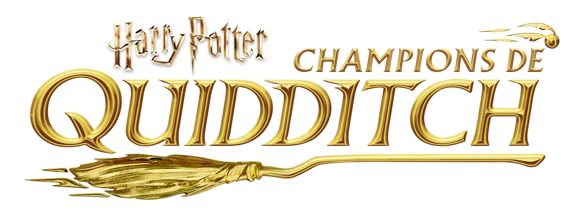 Harry Potter: Champions de Quidditch